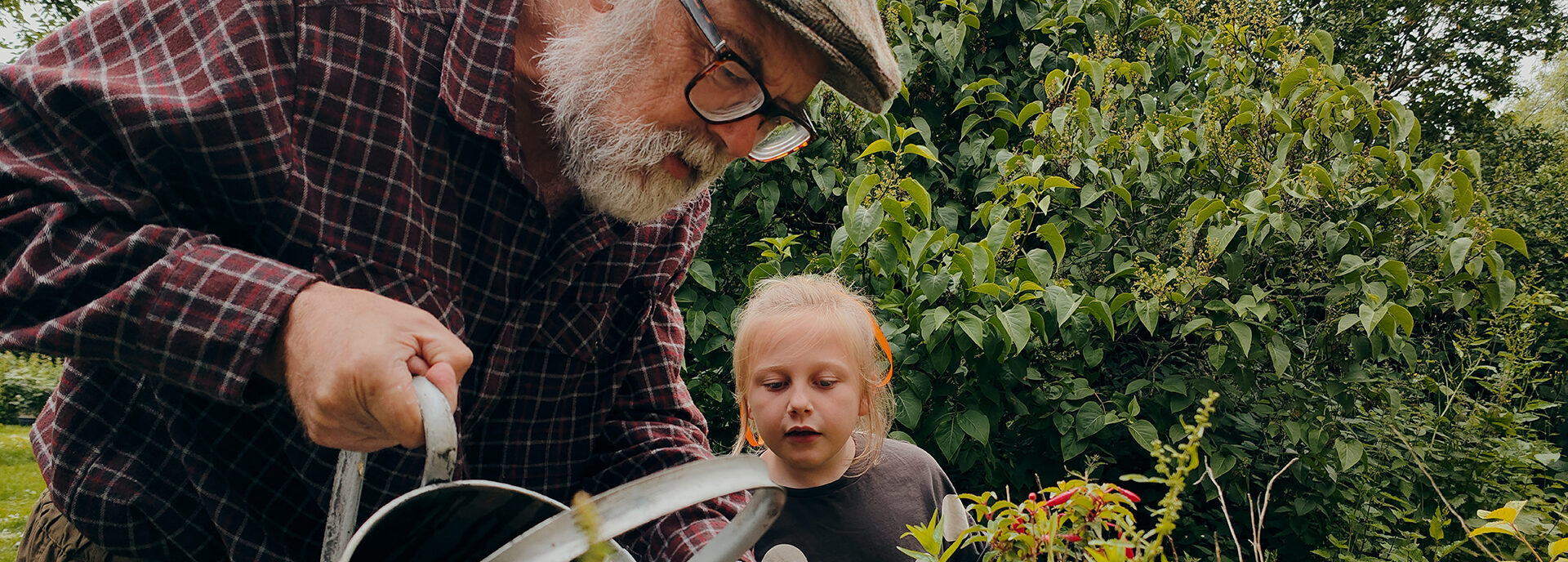 grandfather watering plants with grandchild